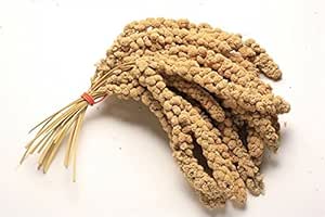 Premium Natural Millet Sprays for Wild Birds
